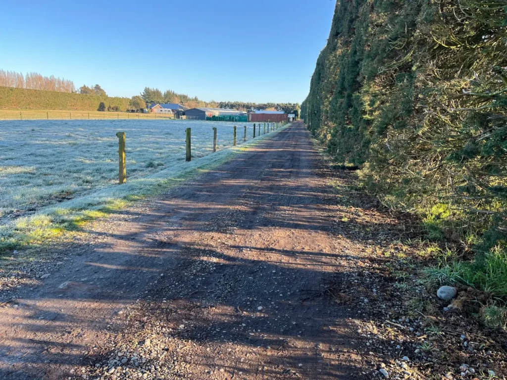 Newly formed farm race running alongside a shelter belt in Canterbury