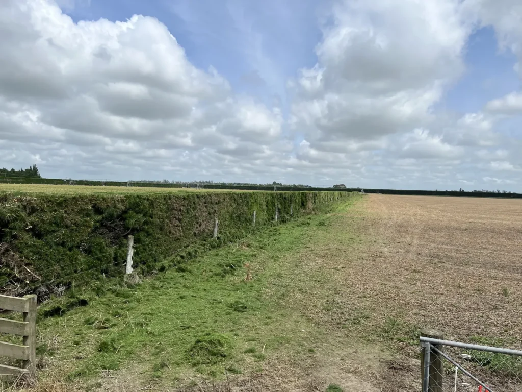 Hedge trimmed low under a centre pivot irrigator on a Canterbury farm